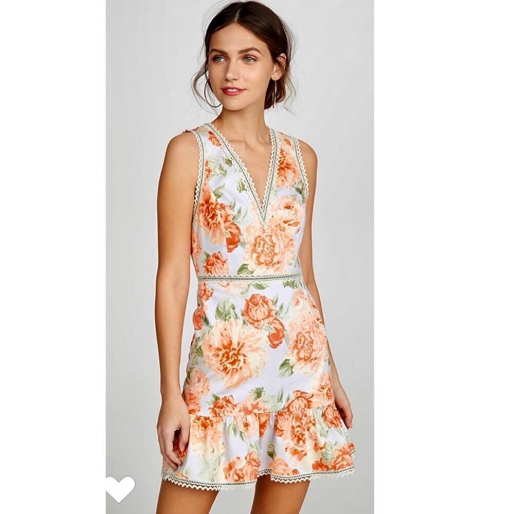 Alice + Olivia Kirean Dress.